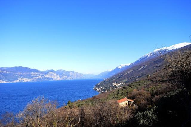 Villa Mery Torri Del Benaco Εξωτερικό φωτογραφία